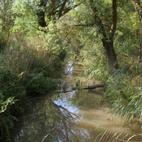 Photo de France - La randonnée de la Tamarissière